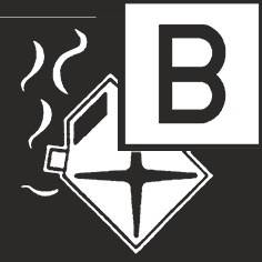 Pulverfeuerlöscher 1kg m.Dauerdruck Brandkl.8 A 34 B C o.Manometer,m.Halter…