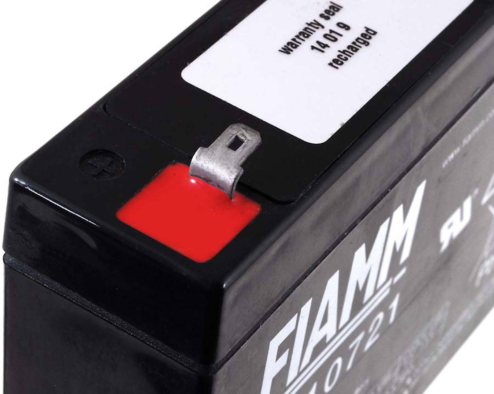 Ersatz-Akku FIAMM FG10721 6V 7,2Ah für Köderboot, Baitbott, Boot, Futterboot, 6V, Lead-Acid