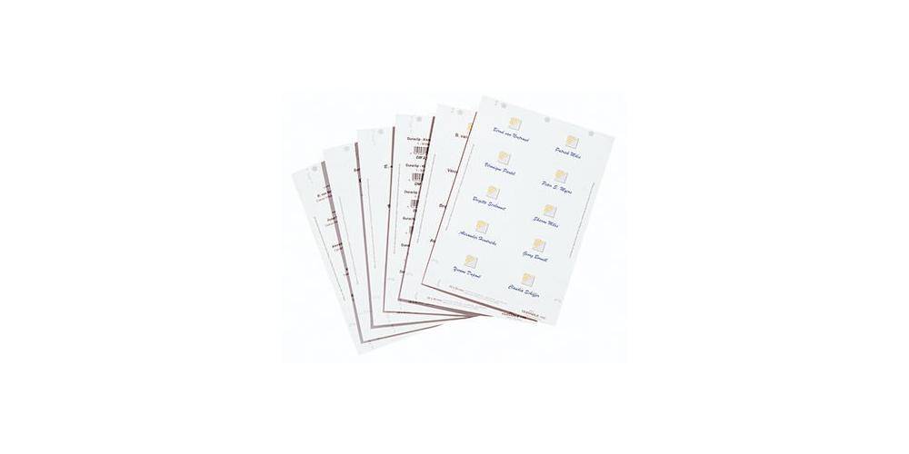 DURABLE Einsteckschild BADGEMAKER® 52 x 100 mm (B x H) 150g/m² Karton