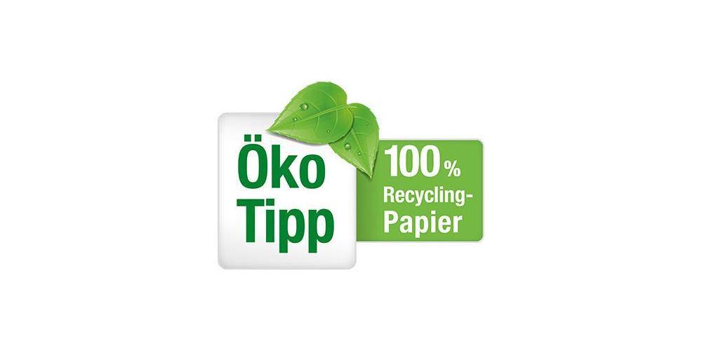 FRANKEN Moderationskarte 9,5cm 130g/m² Altpapier 100 % recycelt