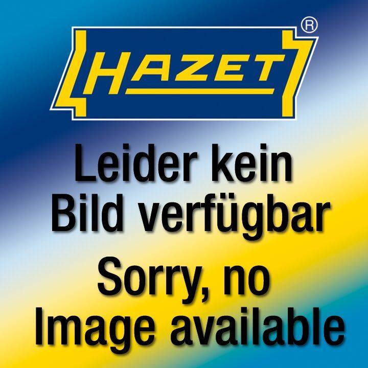 HAZET Jumbo-Hammer 9012M-02