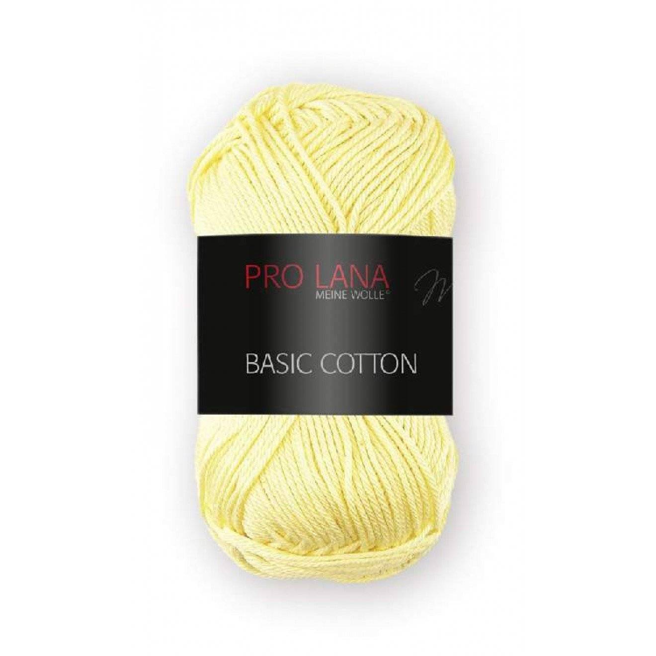 Basic Cotton 021 ca. 125 m 50 g