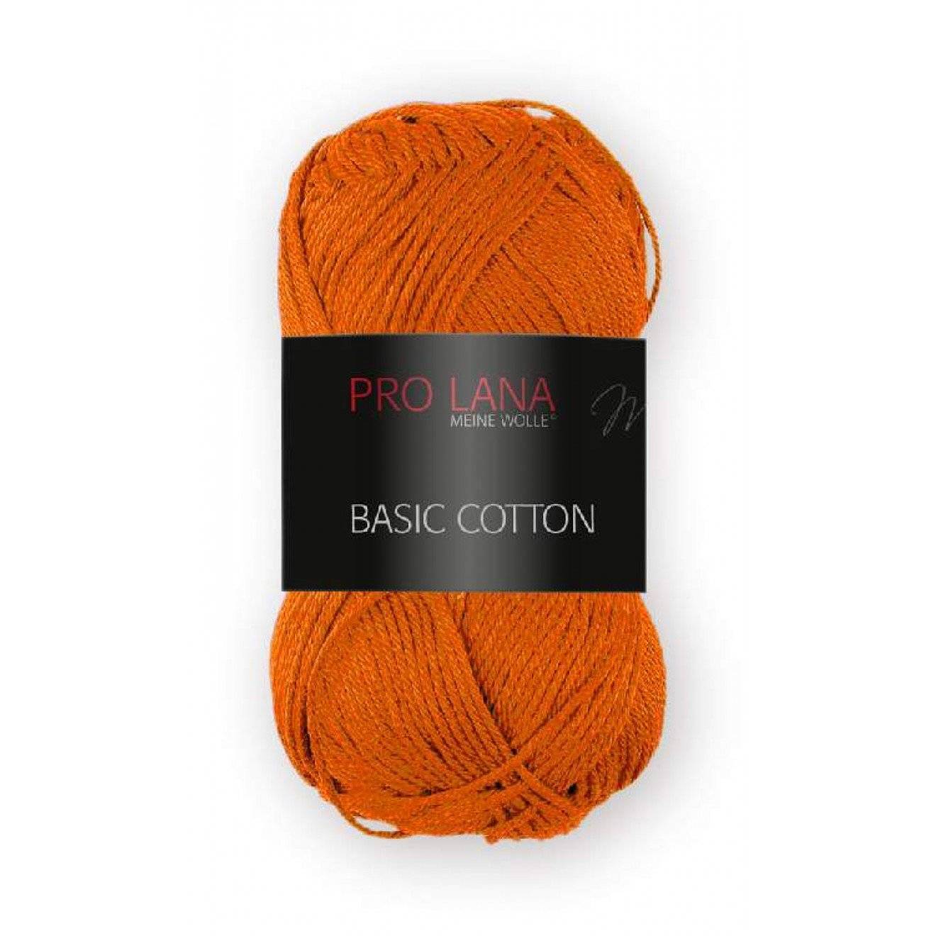 Basic Cotton 027 ca. 125 m 50 g