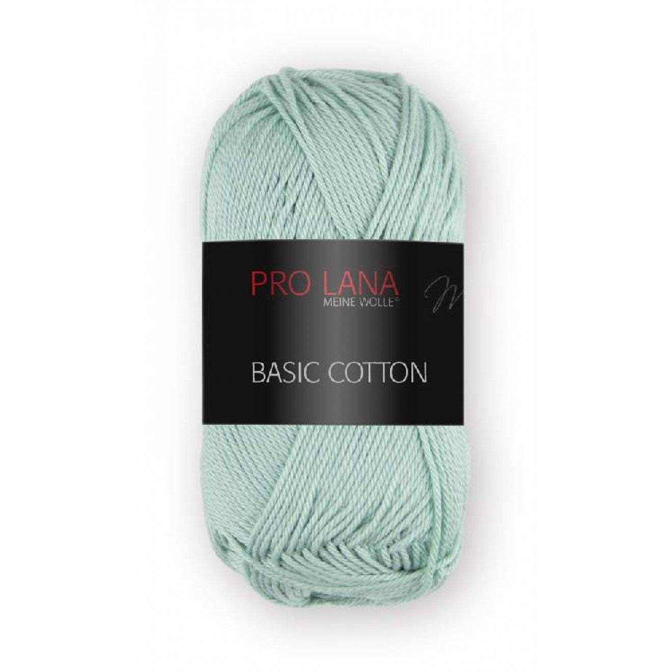 Basic Cotton 061 ca. 125 m 50 g