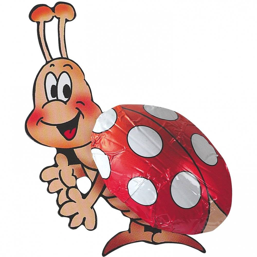 Storz Käfer Charly 70er Inhalt: 875g