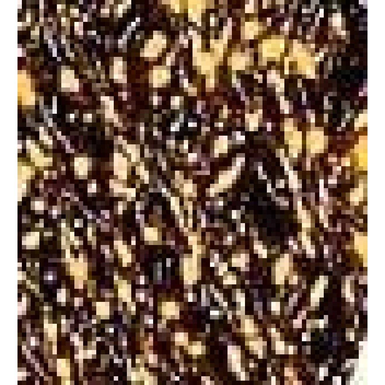 Lame 25 g 551 gold-schwarz ca. 150 m 25 g