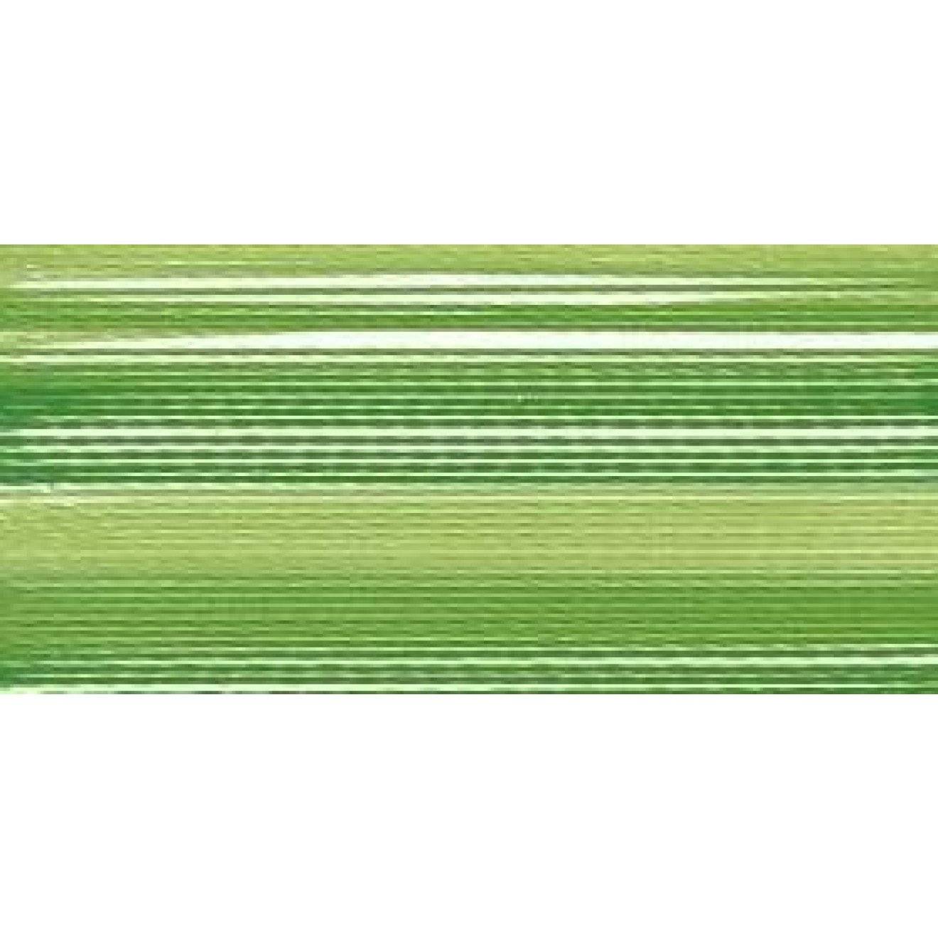 Rayon Stärke 40 200 m Stärke 40 2031 200 m