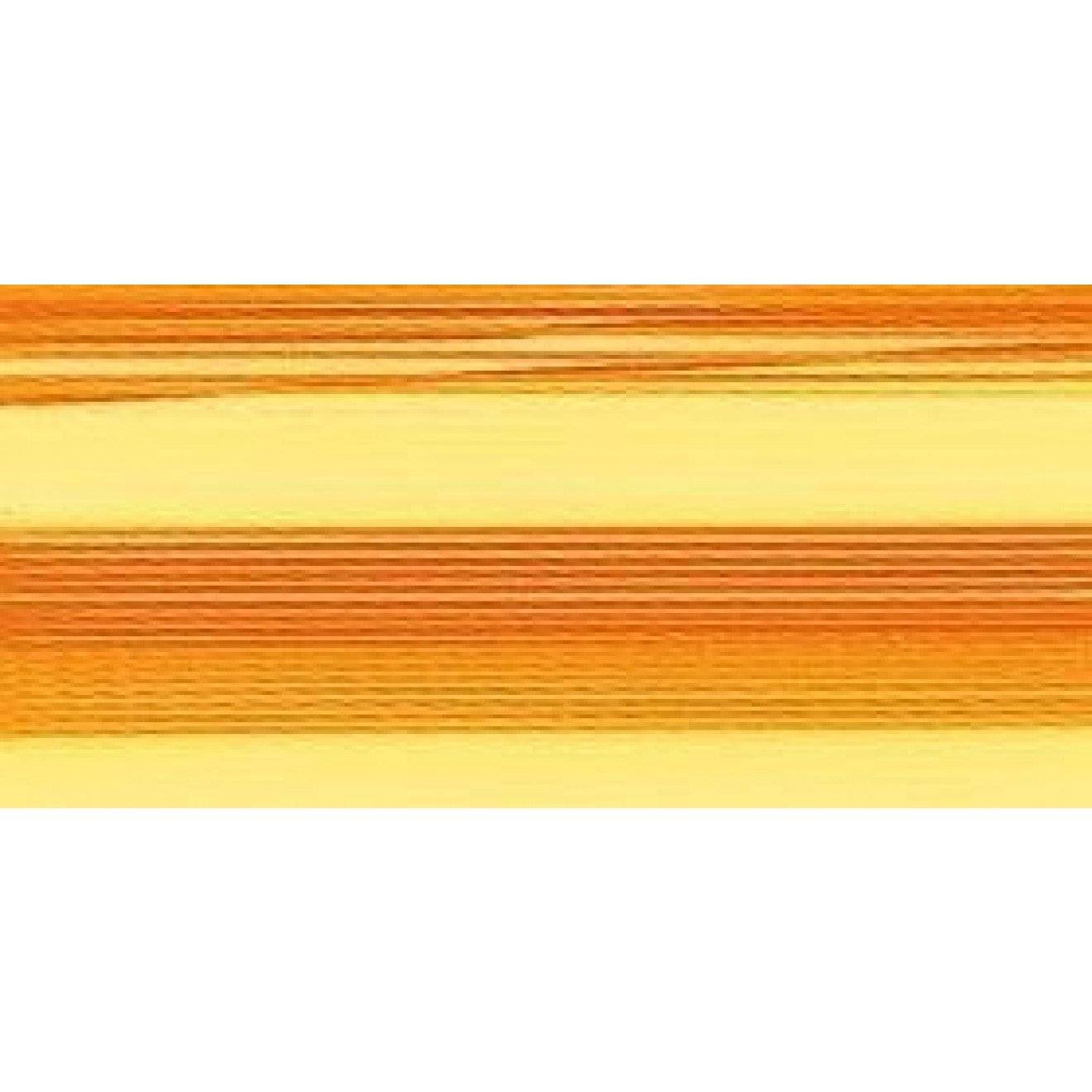 Rayon Stärke 40 200 m Stärke 40 2053 200 m