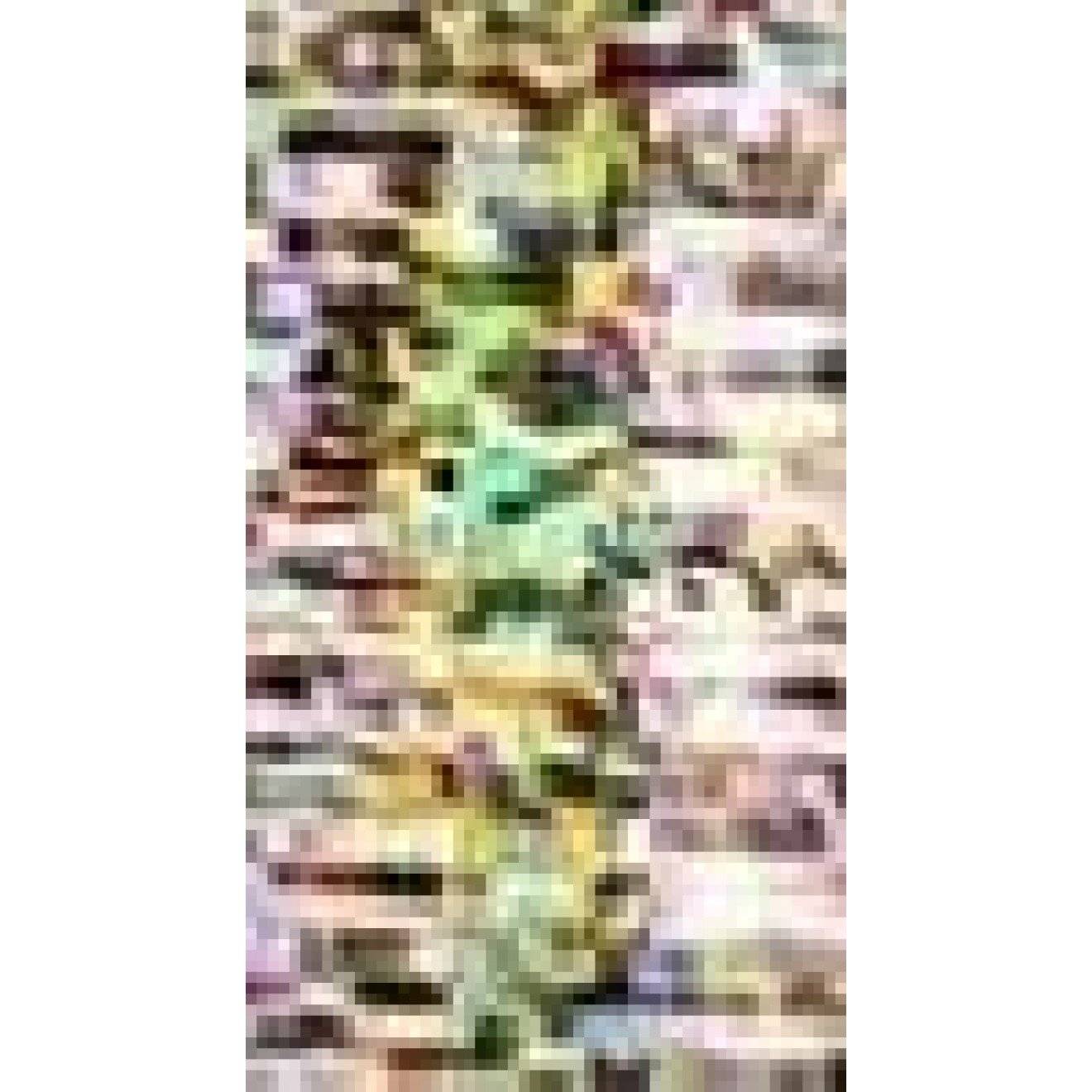 Spectra 100 m 525 100 m