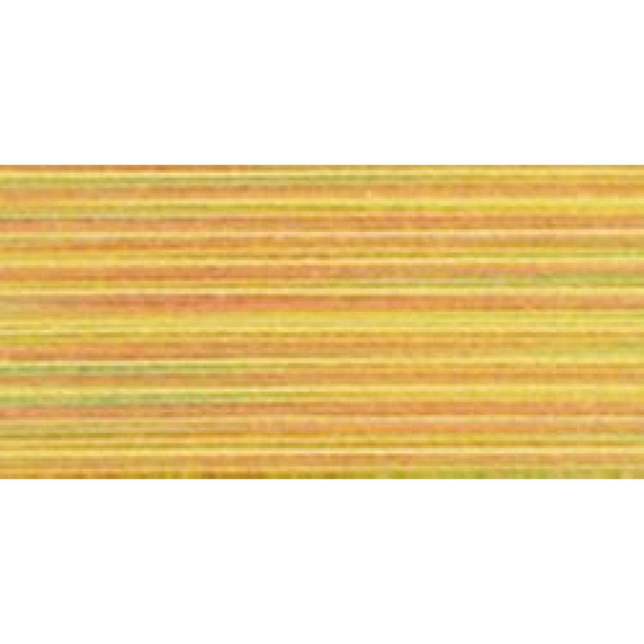 Polyneon Stärke 40 200 m multicolor Stärke 40 1511 200 m