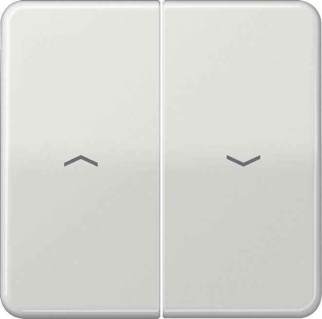 Jung Wippe Symbole lgr CD 595 P LG