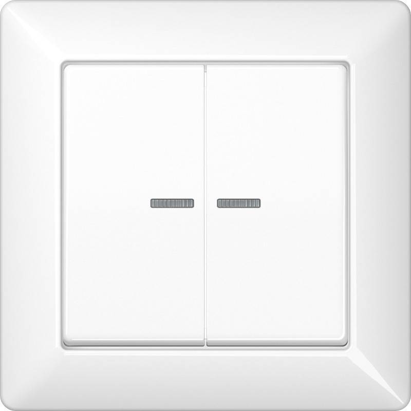 Jung Abdeckung Lichtleiter aws AS 590-5 KO5 WW