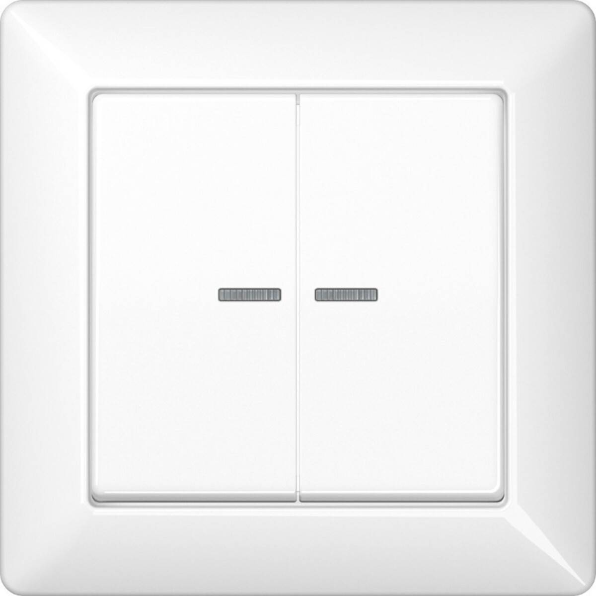 Jung Abdeckung Lichtleiter aws AS 590-5 KO5 WW