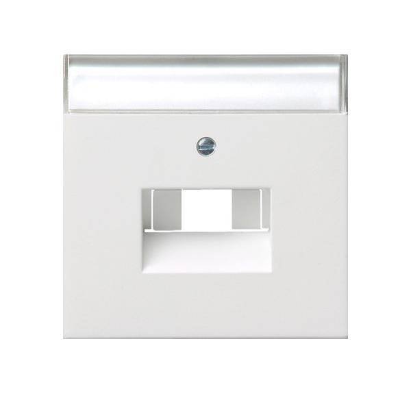 Gira Zentralplatte UAE/IAE/ISDN 0284112