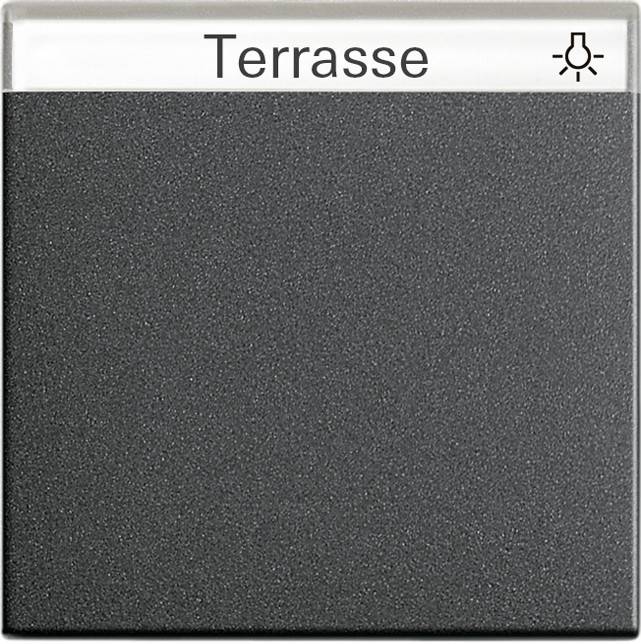 Gira Wippe Wechselsch. anth 029928