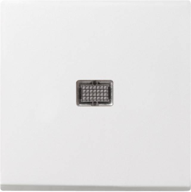 Gira Wippe rws-gl 029803