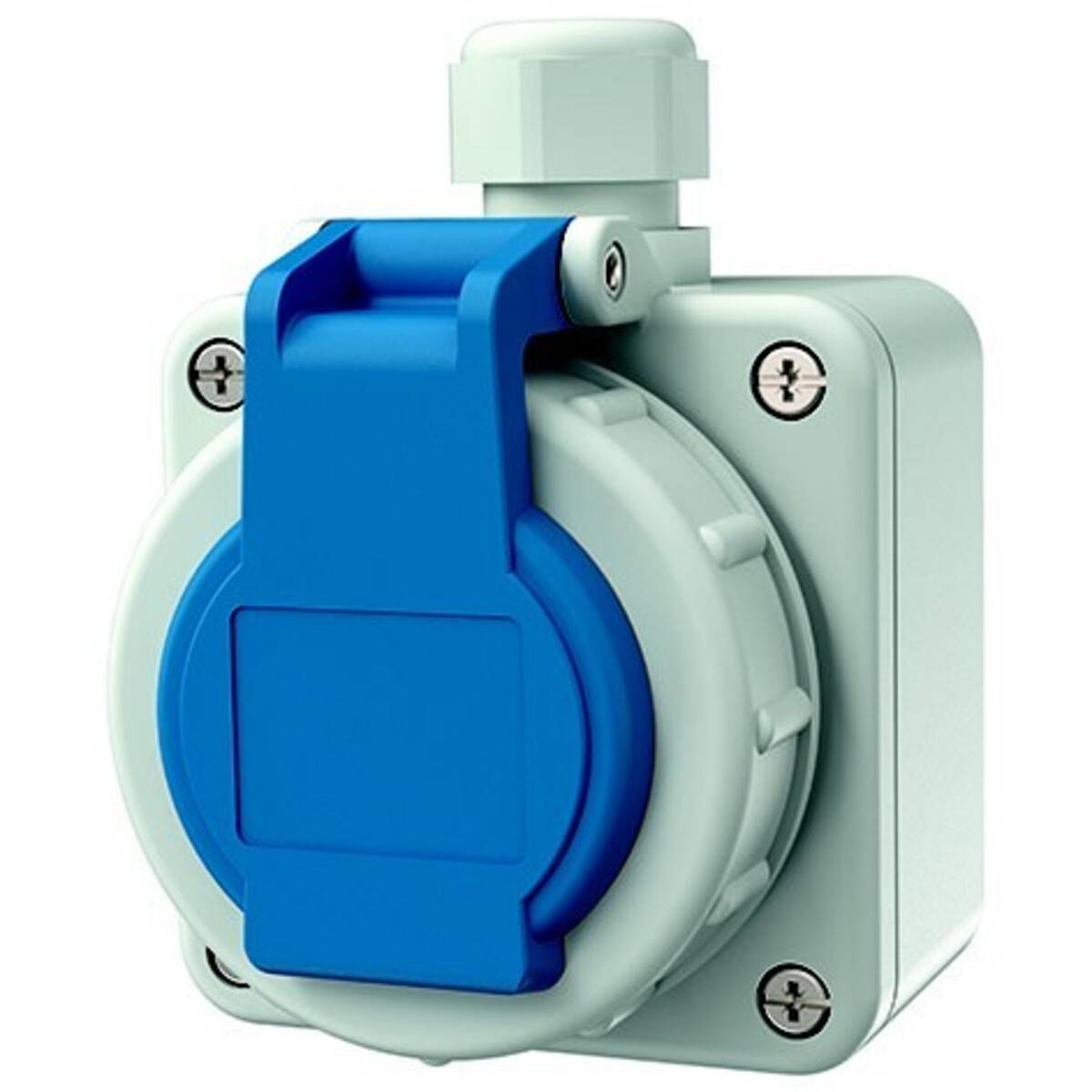 Blaue Abdeckung für Industrie-Steckdosen mit aufklappbarem wasserdichtem Deckel, montiert auf einer hellgrünen Wandplatte.