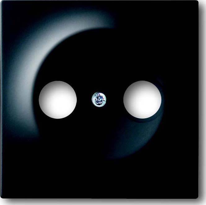 Busch-Jaeger Zentralscheibe sw mt 1743-775