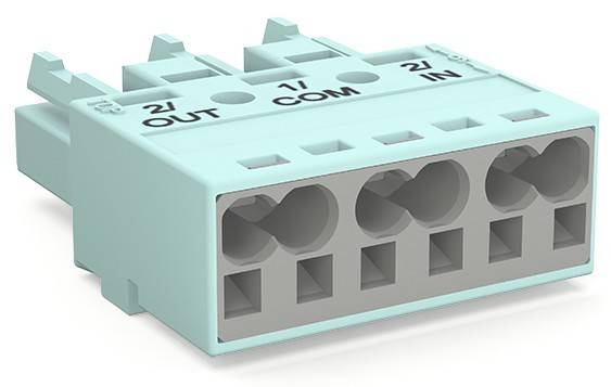 WAGO GmbH & Co. KG Buchse 770-1243/076-000