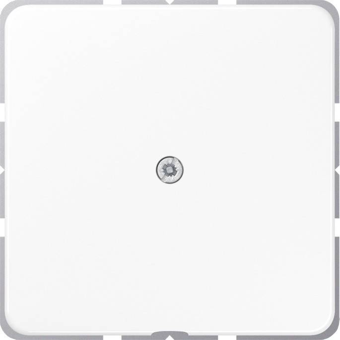 Eine weiße Oberfläche mit einer einzelnen, zentrierten Schraube, höchstwahrscheinlich eine blanke Wandabdeckung zum Verdecken einer Steckdose oder eines Schaltergehäuses.