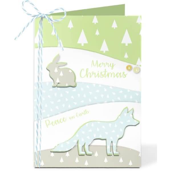 Fotokarton Frosty blue 300g/qm A4 VE=9 Blatt sortiert