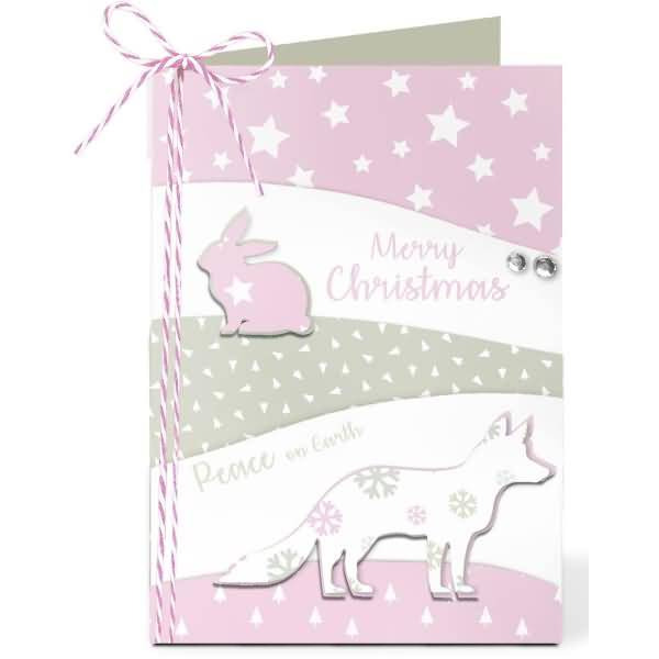 Fotokarton Frosty rose 300g/qm A4 VE=9 Blatt sortiert