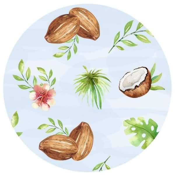 Fotokarton Faultier 300g/qm 49,5x68cm Motiv 01