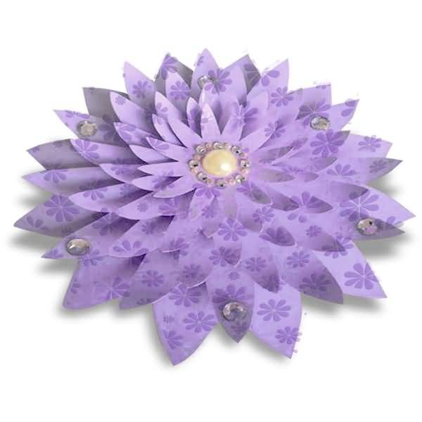 Fotokarton Deluxe 300g/qm 48x67cm Gänseblümchen