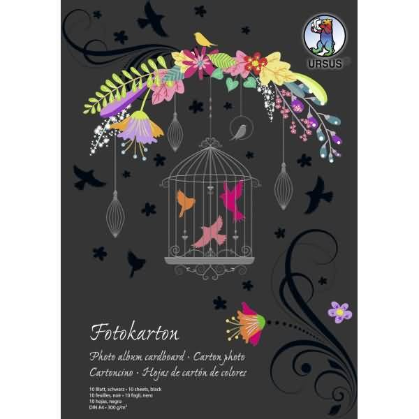 Fotokarton Sonderedition 300g/qm A4 VE=10 Blatt schwarz