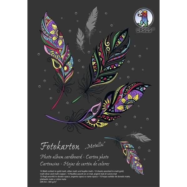 Fotokarton Sonderedition 300g/qm A4 VE=10 Blatt 3 Farben sortiert