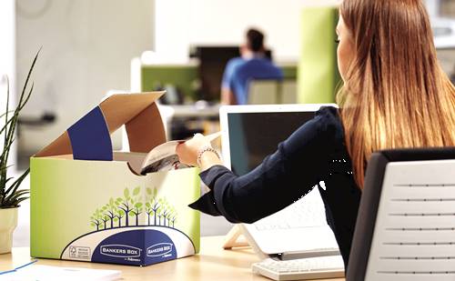 Fellowes 8049301, Rechteckig, Karton, Blau, Grün, Weiß, FSC, 248 mm, 314 mm