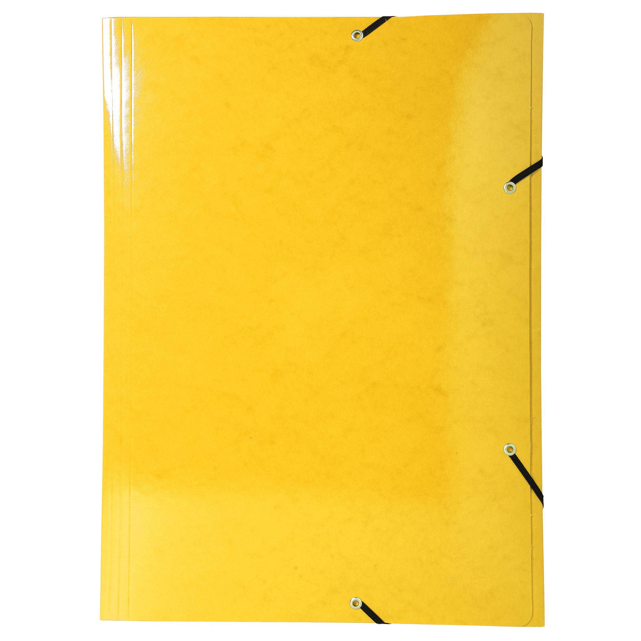 Exacompta 10x Sammelmappe +3 Klappen Gummizug MAXI Karton für A3 sortiert 59829E