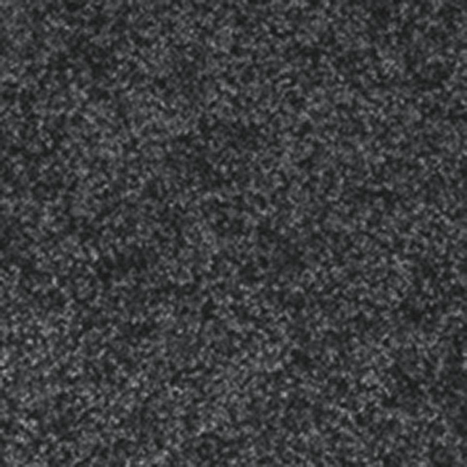 Schmutzfangmatte Eazycare Color, für den Innenbereich, schwarz, 1200x1800mm