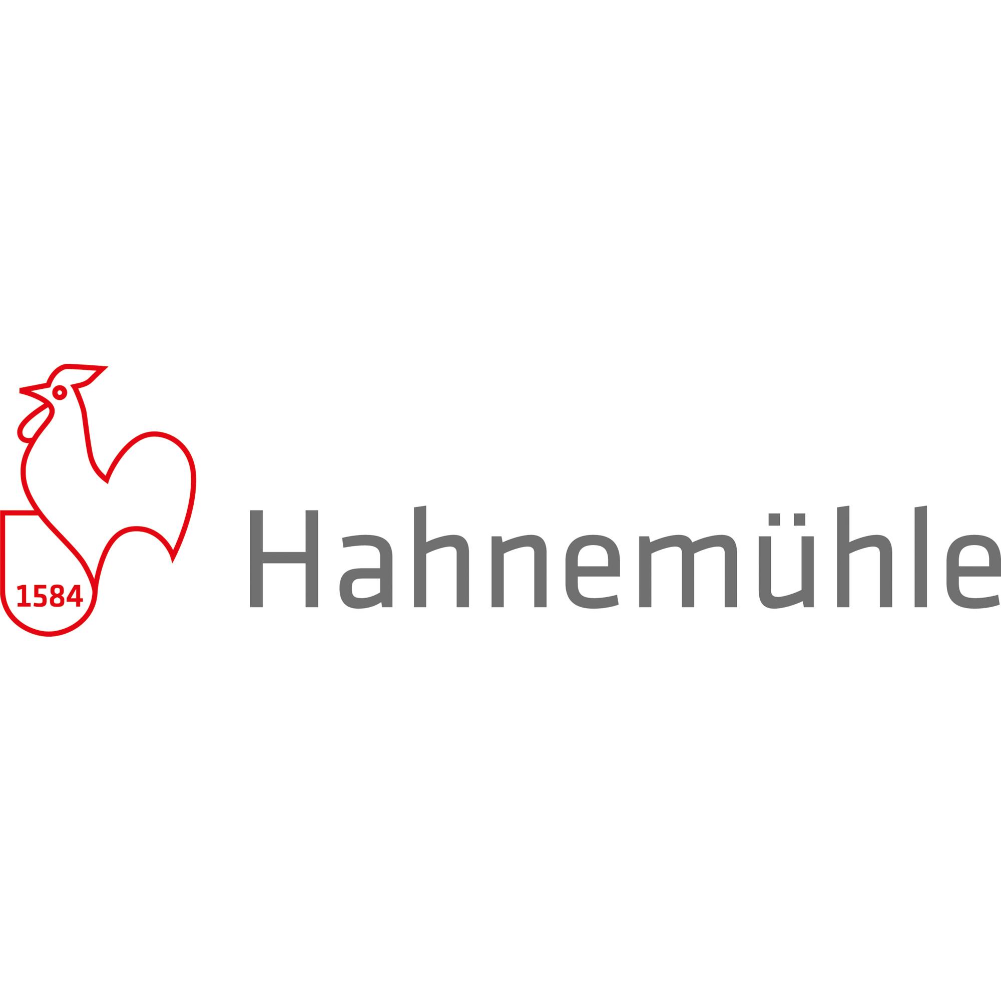 Hahenmühle FineArt Isometrieblock 10662642 DN A4 rautiert 50Bl.