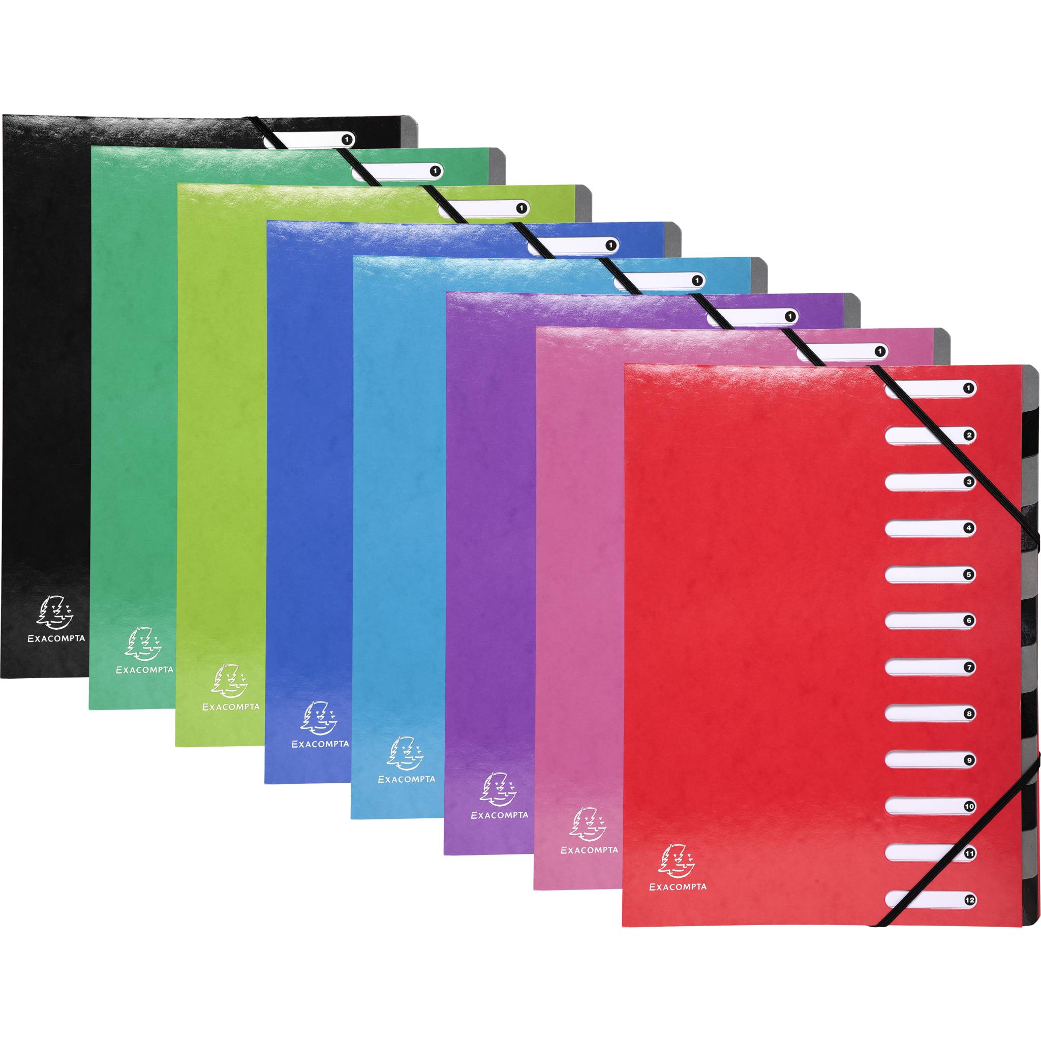 Exacompta 8x Ordnungsmappe Harmonika dehnbar Karton 12 Fächer sortiert 53929E