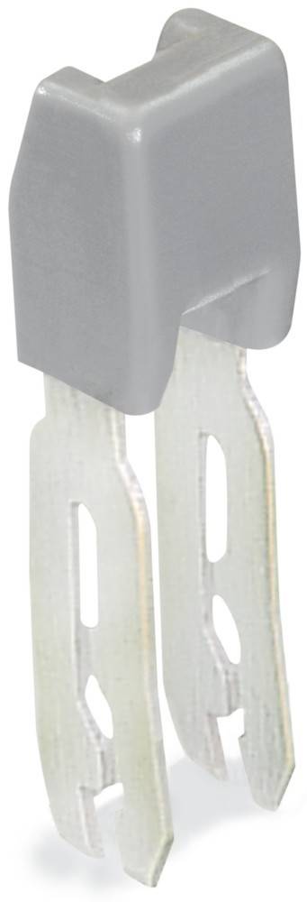 Nahaufnahme der beiden Metallzinken eines elektrischen Steckers, die an einem grauen Gehäuse befestigt sind und die Konstruktion und Struktur des Steckers zeigen.