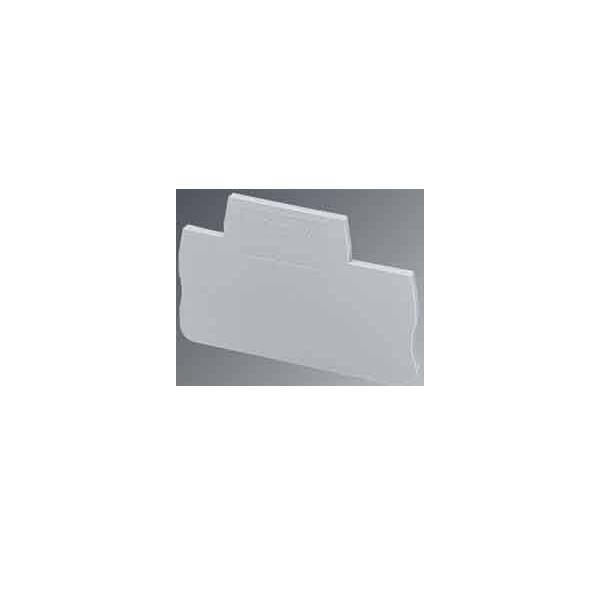 Phoenix Contact Trennplatte D-STTB 4