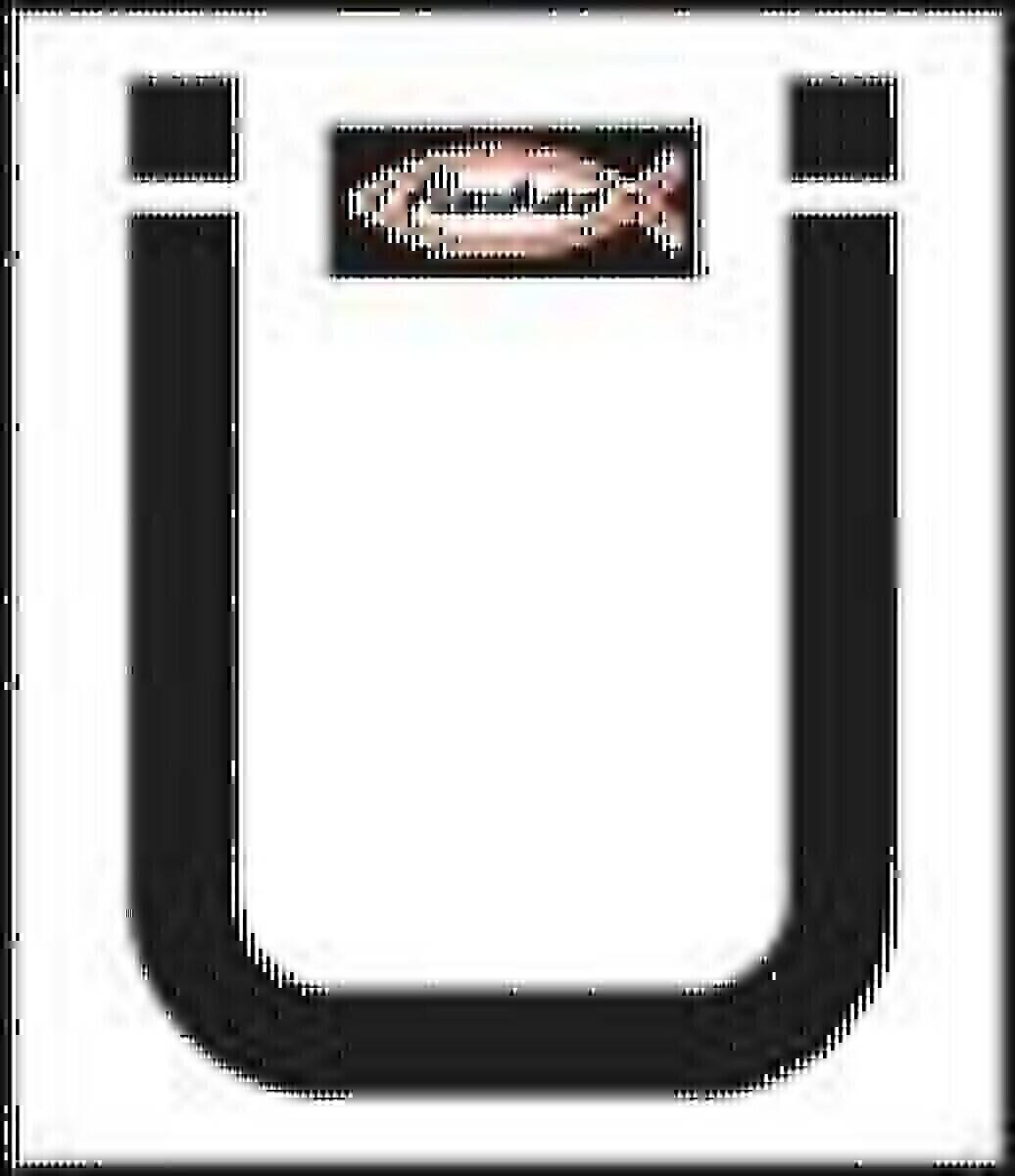 Fischer Deutschl. Sanitärsilicon DSSA SG