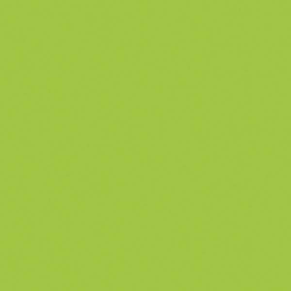 Dekorations-Set Bäume und Sterne