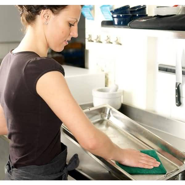 Scheuervlies Handpad grün 22x15cm VE=10 Stück