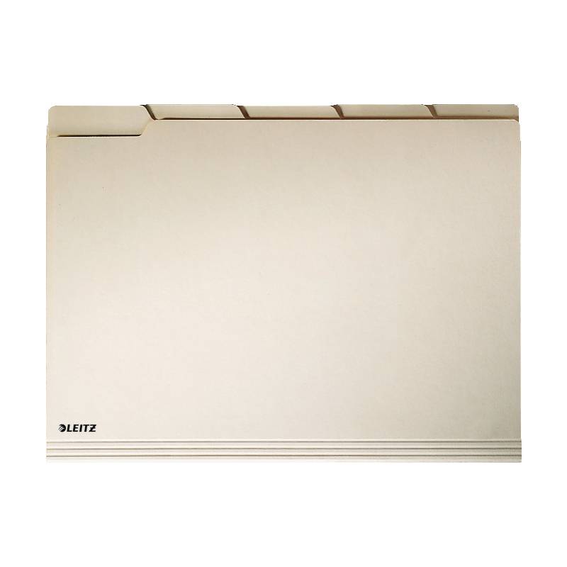LEITZ Einstellmappe, mit Taben, A4, chamois