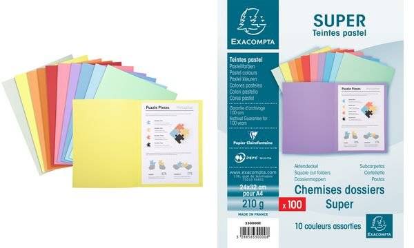 EXACOMPTA Aktendeckel SUPER 250, DIN A4, grau (335227000)