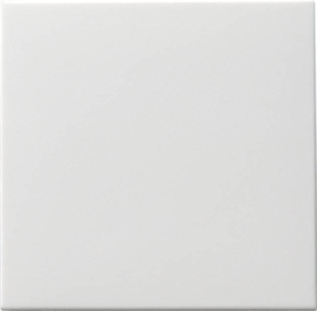 Gira Wippschalter rws-matt 091627