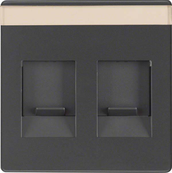 Berker Zentralstück anth/sa 11816086