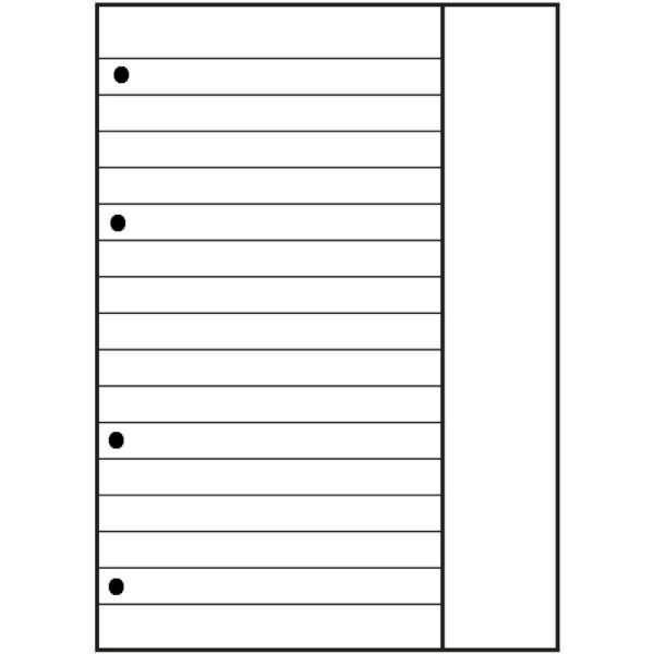 Ringbucheinlagen A4 90g/qm 50 Blatt Lineatur 25 Scribzee kompatibel