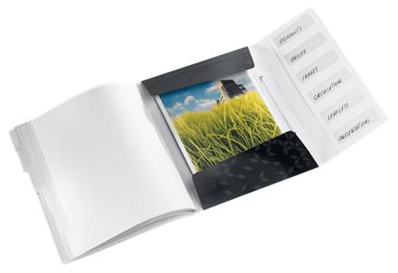 Esselte Leitz WOW - Gliederungsordner - 6 Fächer - 6 Teile - Rückenbreite: 17 mm - für A4 (210 x 297 mm)
