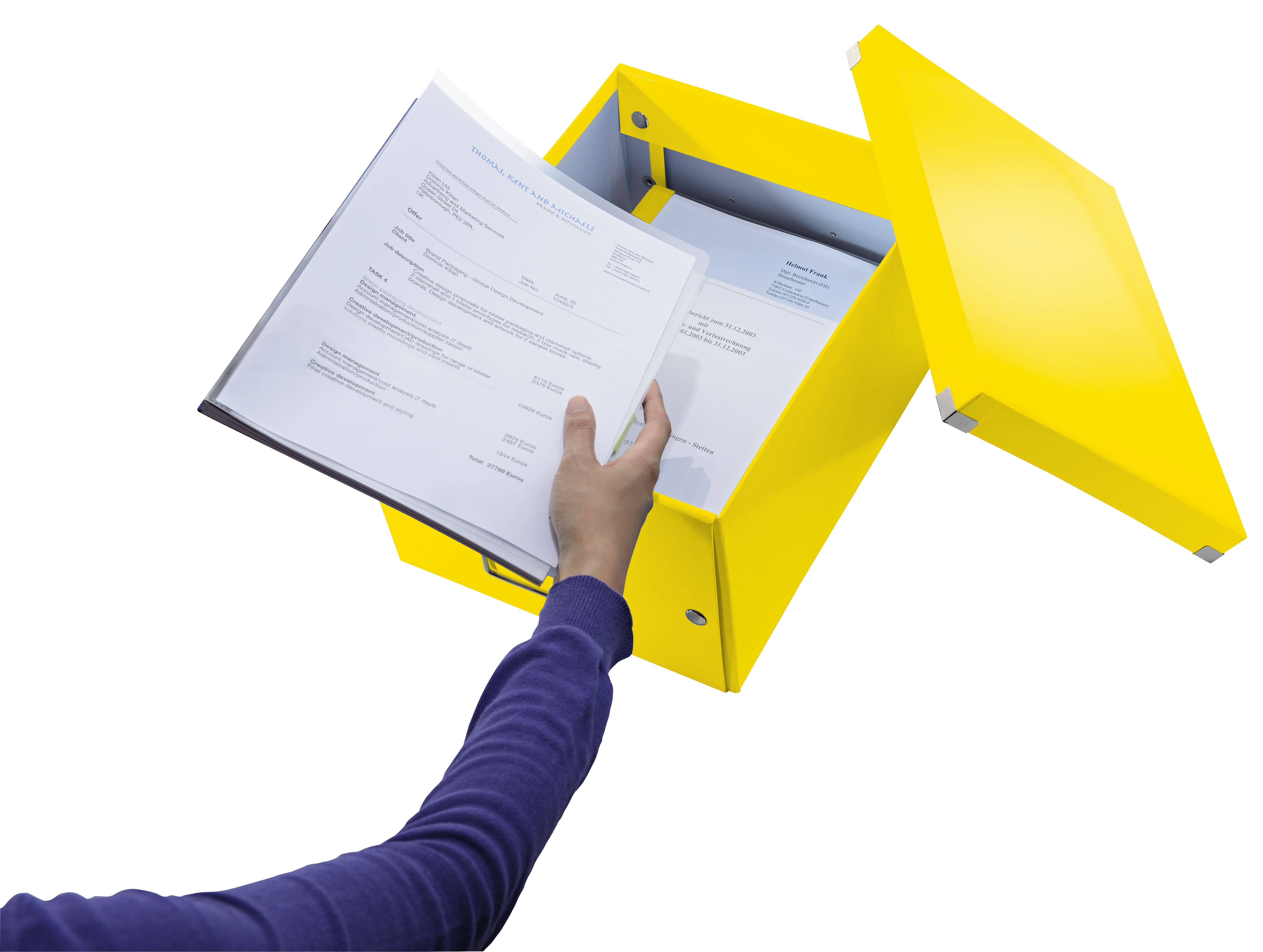 Archivbox Click & Store WOW Mittel