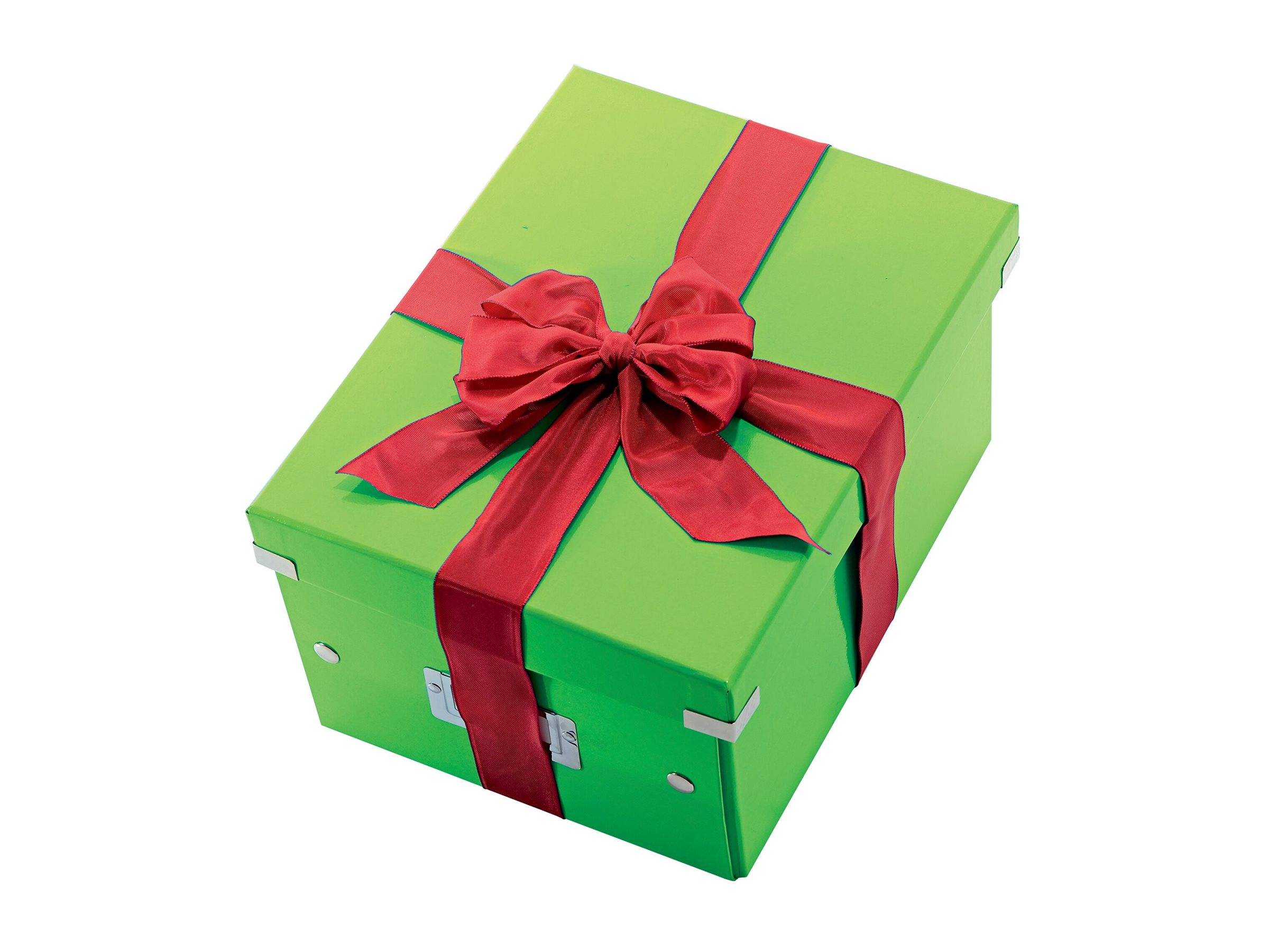 ESSELTE LEITZ - Leitz Click & Store WOW Medium - Aufbewahrungsbox - für A4 (210 x 297 mm)