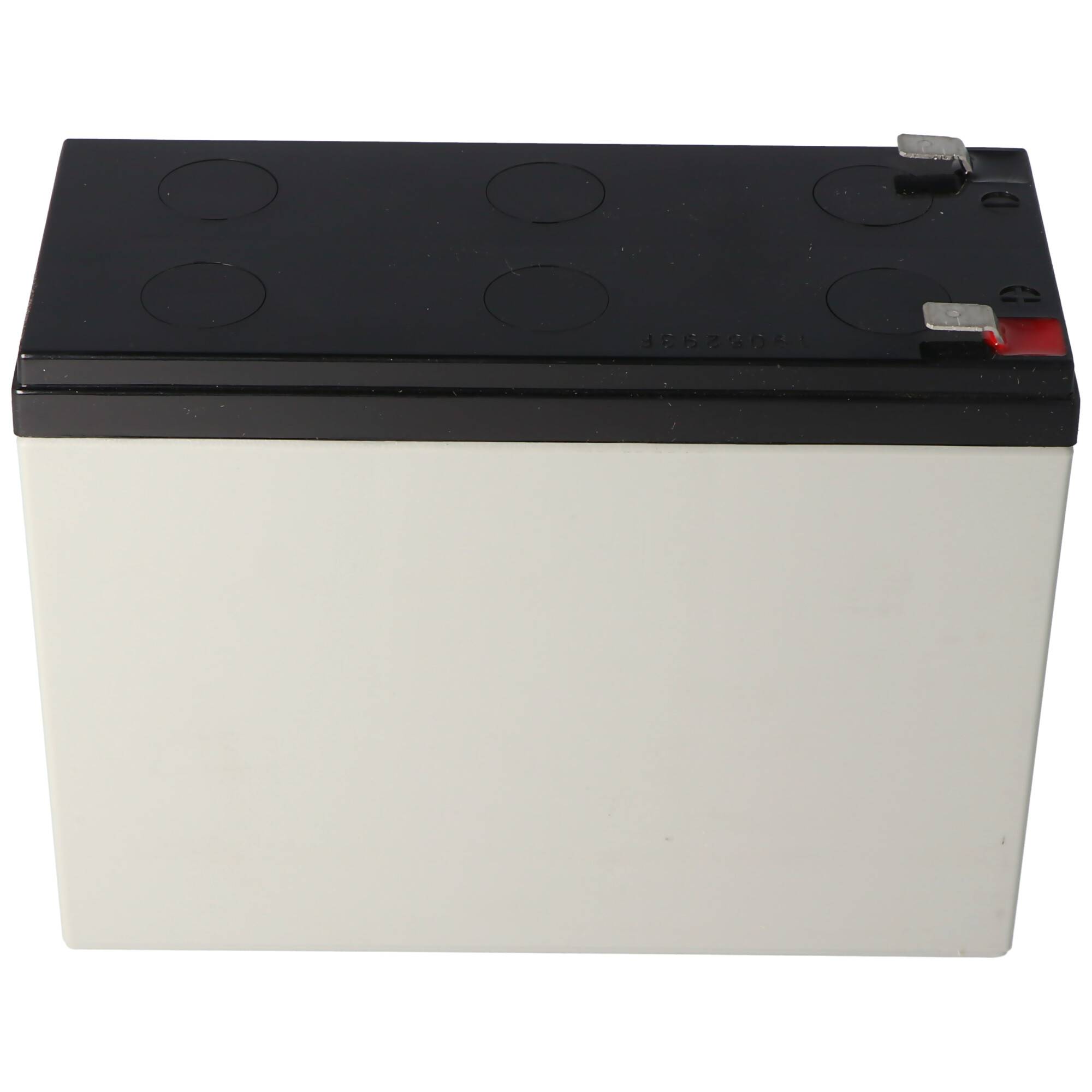 Yuasa Blei-Akku REC10-12 mit 12 Volt und 10Ah, 6,3mm Faston Steckkontakte