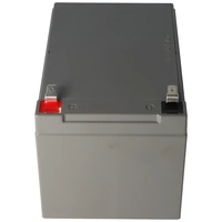 Fiamm 12FGHL48 Blei PB Akku 12 Volt 12000mAh mit Faston 6,3mm Kontakten Fiamm 12FGHL48 Blei PB Akku 12 Volt 12000mAh mit Faston 6,3mm Kontakten